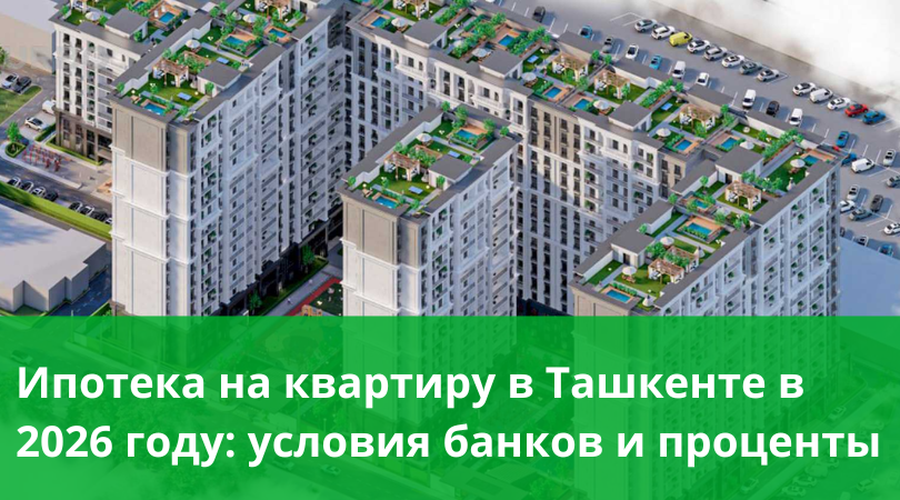 Условия банков, проценты и что важно знать